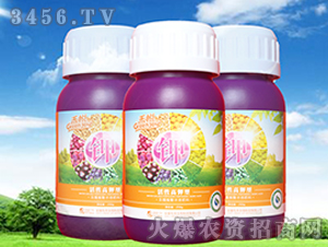 ���Ը�⛷�-�̐�-��������