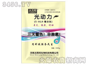 �����-�ֶ���