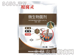 ΢�������-�����`-�ÌW��