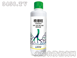 �����������l(f��)ʽ������-�ÌW(xu��)��