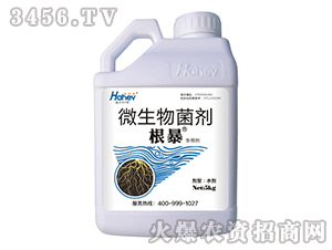 ΢�������-����-������