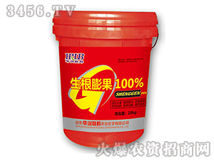 �������100%-�A���s��