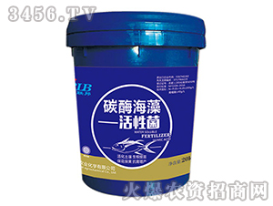 ̼ø������Ծ�-�A���s��