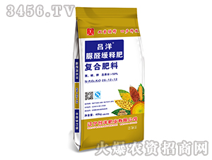 ���ȩ��(f��)�Ϸ���26-12-12-����