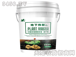 ���K�o���a(ch��n)��-������1̖-����������Դ