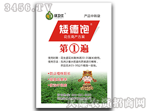 �����߮a(ch��n)�����ڢٱ�-�����-�G�l(w��i)��