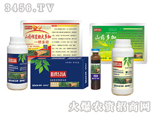 ɽˎ�ؼ�-�κ�����