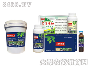 ���ӱؼ�-�κ�����