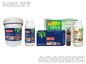 �R��ؼ�-�κ�����