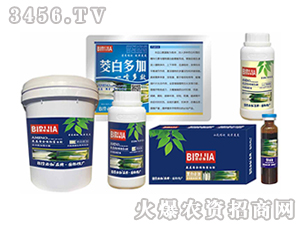 ���ױؼ�-�κ�����