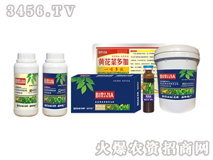 �S���˱ؼ�-�κ�����