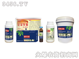 ���˱ؼ�-�κ�����