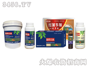 �t���ؼ�-�κ�����