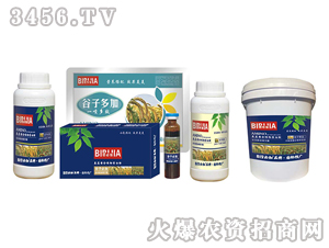 ���ӱؼ�-�κ�����