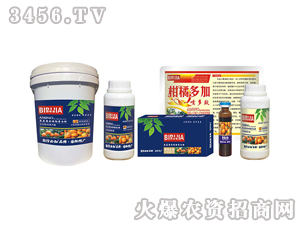 ���ٱؼ�-�κ�����