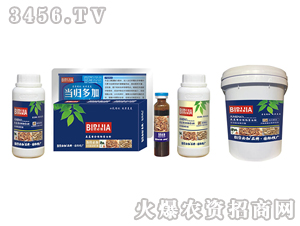 ���w�ؼ�-�κ�����