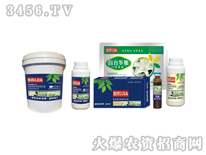 �ٺϱؼ�-�κ�����