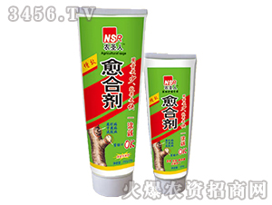 ���τ�-�r(n��ng)ʥ��