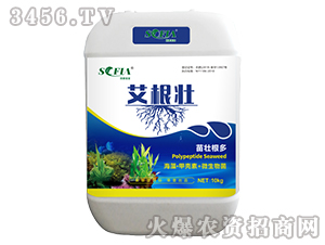 ���塤�ך���+΢�����-������-���Ɓ�