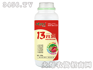 1200g13Ԫ��-���Ɓ�