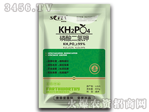 ��������-���Ɓ�