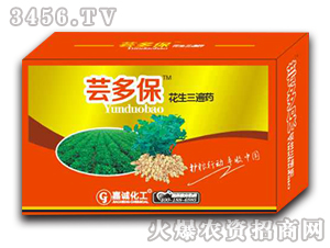 ��������ˎ-�|�ౣ-���\���� 