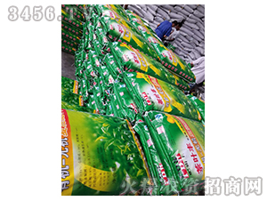 ���~�S�ЙC��-��������