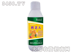 ���ϴ�-����