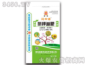 ���׷��24-0-4-��(r��n)�ﱣ-���(y��ng)