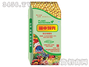 ΢�������-�����I(l��ng)��-����