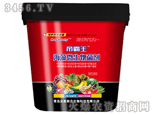 ����΢���������10kg��-�۰���-����