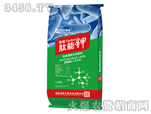 ̼ø�����-ɽ���λ�