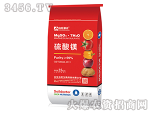 �����V���t����-ɽ���λ�