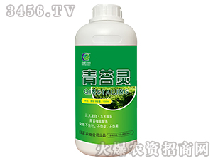 ��̦�`-�����r(n��ng)��