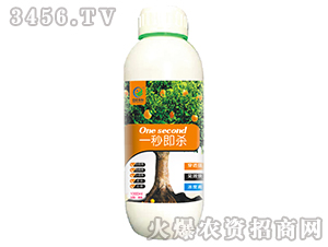 һ�뼴��-�����r(n��ng)��