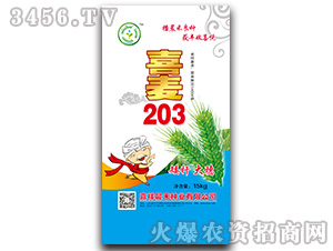 ϲ��203-С���N��-���̷N�I(y��)