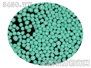 120���Ĥ����w���G-�𚤻���