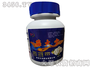 ���-ؐ���ʘI(y��)