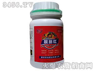 �n���t-ؐ���ʘI(y��)