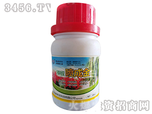 �������ɽ�-ؐ���ʘI(y��)