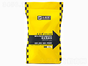 ΢�������-�����S-������