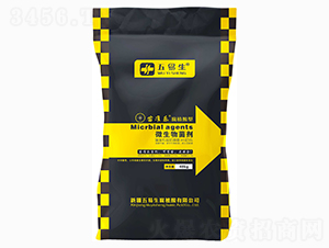 ��ֲ����΢�������-���(zh��n)��(l��)-������