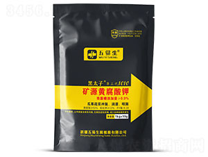 �VԴ�S�����-��̫�ӵ�����1010-������