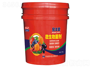 ΢�������-���S��-���R�S