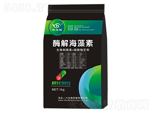 ø�⺣����-������-һ������