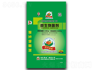 2�|��΢�������-���Ϲ��I(y��)