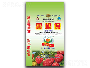 ΢�����������(sh��)ݮ��(zhu��n)�ã�-������-���Ϲ��I(y��)