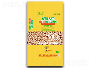 �l(f��)�ʹ󶹵���ø΢�������-����¶