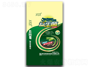 �������l(f��)�̈́�(d��ng)�ﵰ��-����¶