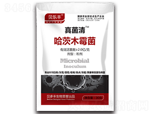 ����ľù��-�����-ؐ���S